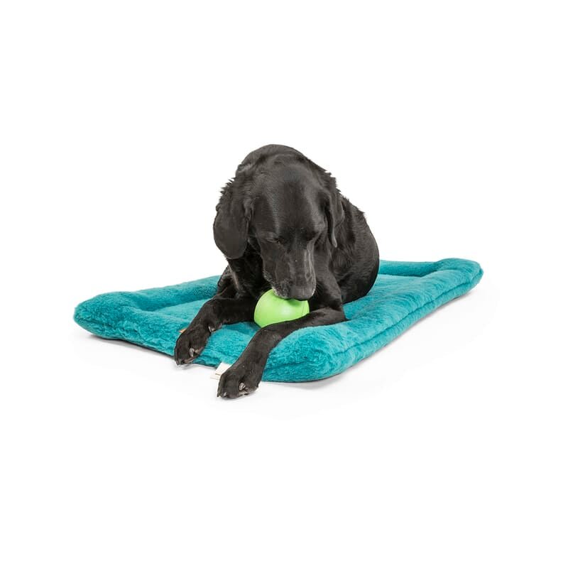 West Paw Zogoflex Echo Rando - Wagr - The Smart Petcare Platform