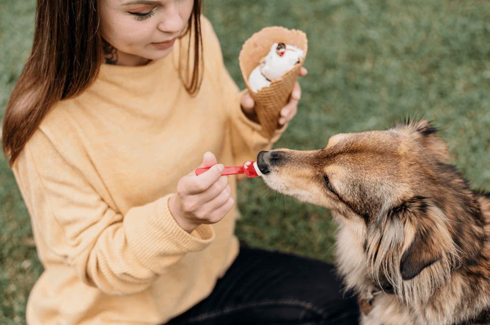 3 Easy DIY Cold Doggie Treats for Summer - Wagr Petcare