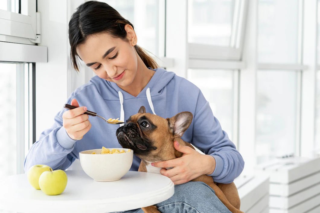 6 Human Foods Your Dog can Eat and Relish - Wagr Petcare