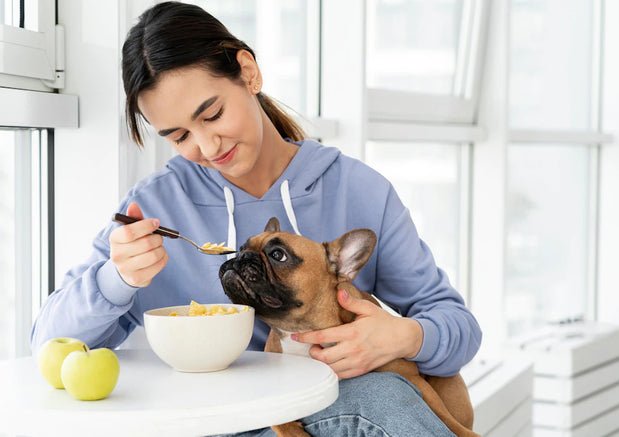 Ancient Grains for Doggos: A Good or a Bad Idea? - Wagr Petcare