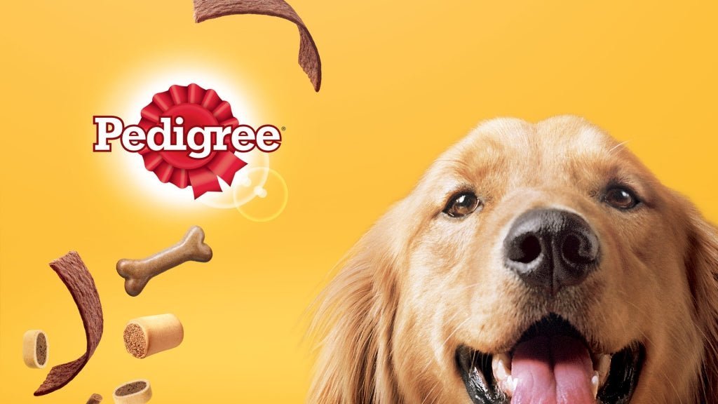 Benefits of Pedigree Dog Food for Puppies - Both Wet and Dry - Wagr Petcare