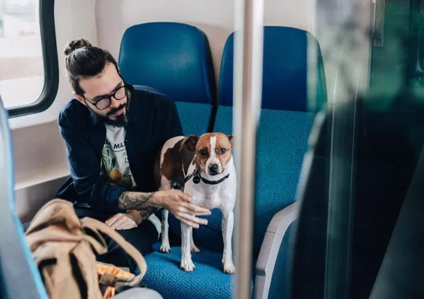 Can You Travel With Your Pet On Indian Trains? - Wagr Petcare