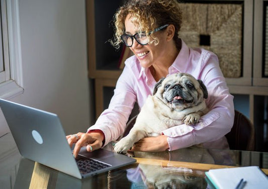 Confused About Online Vet Consultations? Here Are Some Pros and Cons - Wagr Petcare