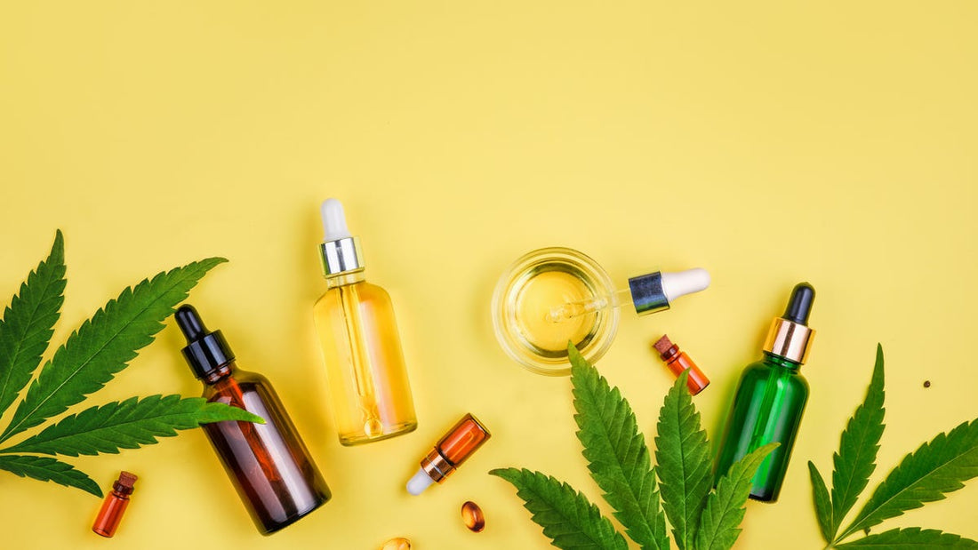 Everything you Need to Know About Using CBD & Hemp Oils for pets - Wagr Petcare