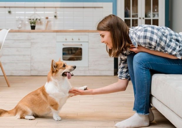 How To Prepare Your Pet Before Leaving Them With Foster Parents - Wagr Petcare