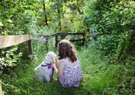 Introducing your dog to children - Wagr Petcare