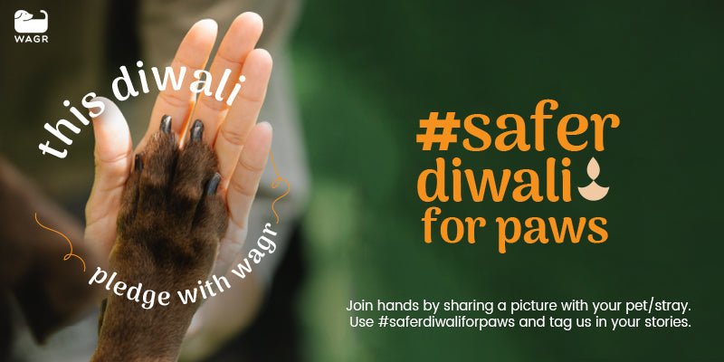 This Diwali...Pledge With Wagr - Wagr Petcare