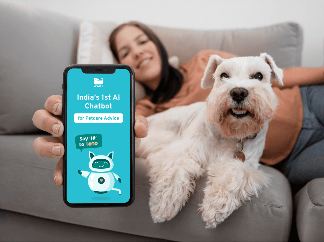 Toto, India's First AI Petcare Chatbot, Is Creating Media Buzz! - Wagr Petcare