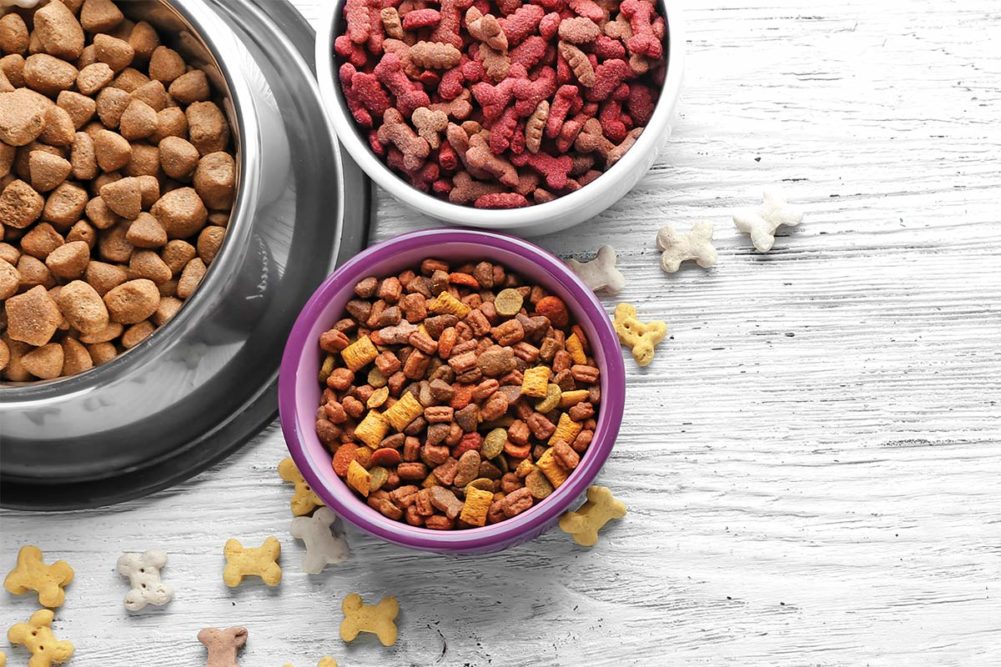 What are the Different Types of Dog Foods to Consider? - Wagr Petcare