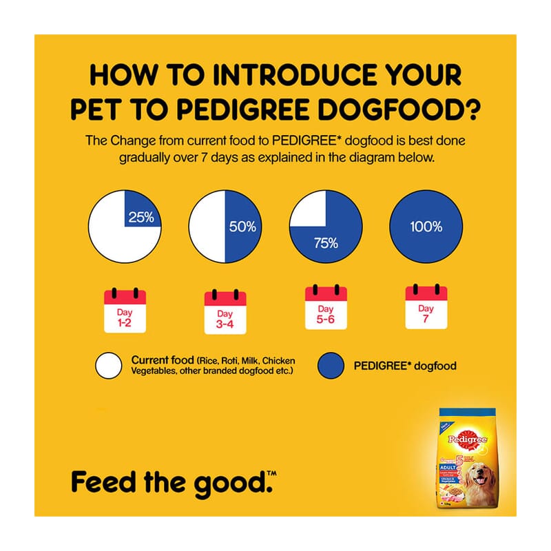 Pedigree Adult Dry Dog Food - Chicken & Vegetables