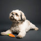 Fofos Vegi-Bites Carrot Dog Chew Toy