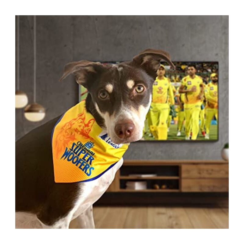 Barkbutler Chennai Super Woofers Dog Bandana - Wagr Petcare