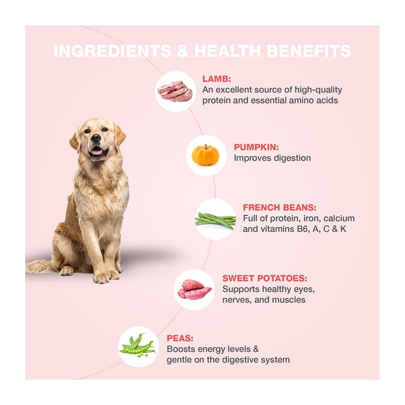 Benny's Bowl Delicious Fresh Dog Food - Lamb and French Beans - Wagr - The Smart Petcare Platform