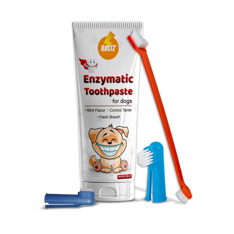 Boltz Enzymatic Toothpaste for Dogs 100gm & 3 Tooth Brush - Wagr - The Smart Petcare Platform