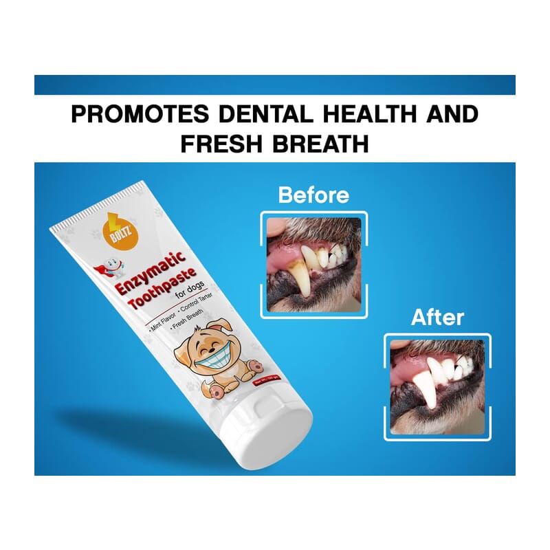 Boltz Enzymatic Toothpaste for Dogs 100gm & 3 Tooth Brush - Wagr - The Smart Petcare Platform