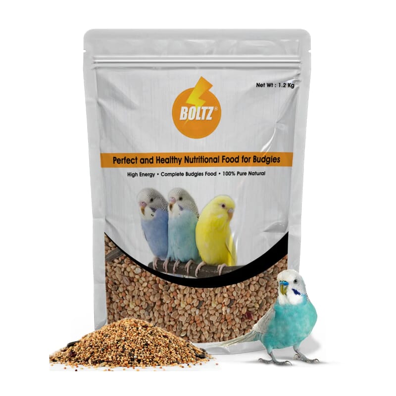 Boltz Perfect and Healthy Nutritional Food for Budgies - Wagr - The Smart Petcare Platform