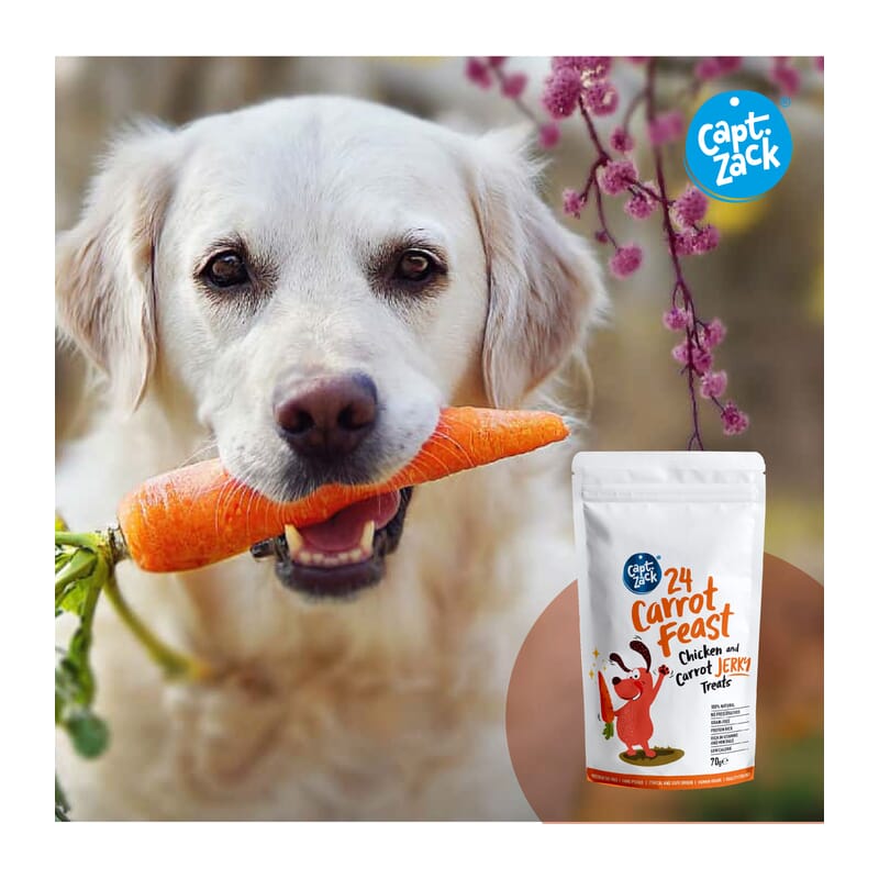Captain Zack 24 Carrots Feast Real Chicken Jerky Human Grade Treats for Dogs 70gm - Wagr - The Smart Petcare Platform