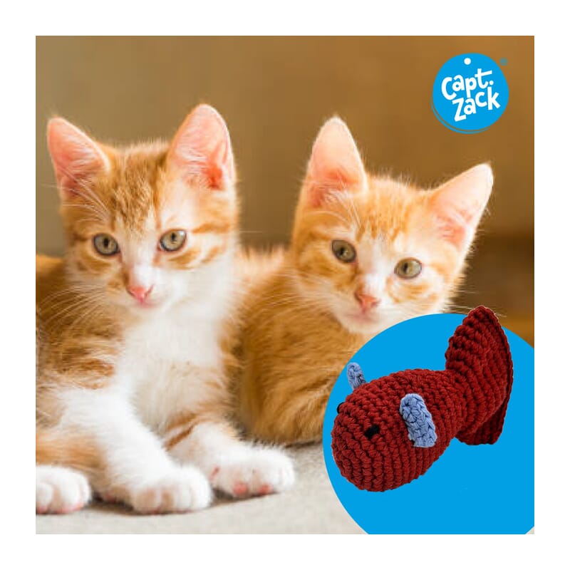 Captain Zack Crochet Fish, Cat Toy - Wagr - The Smart Petcare Platform