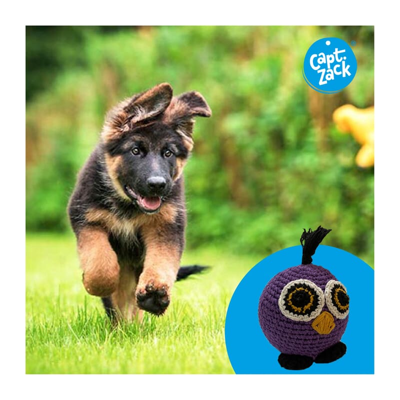 Captain Zack Crochet Owl Dog Toy - Wagr - The Smart Petcare Platform