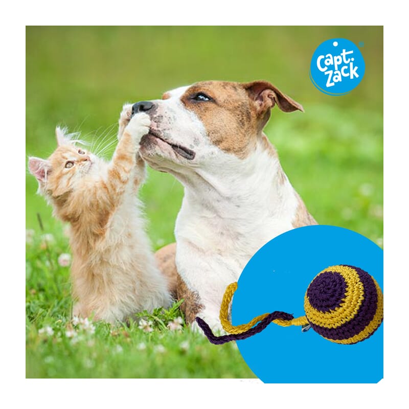 Captain Zack Crochet Stripped Ball Dog Toy - Wagr - The Smart Petcare Platform