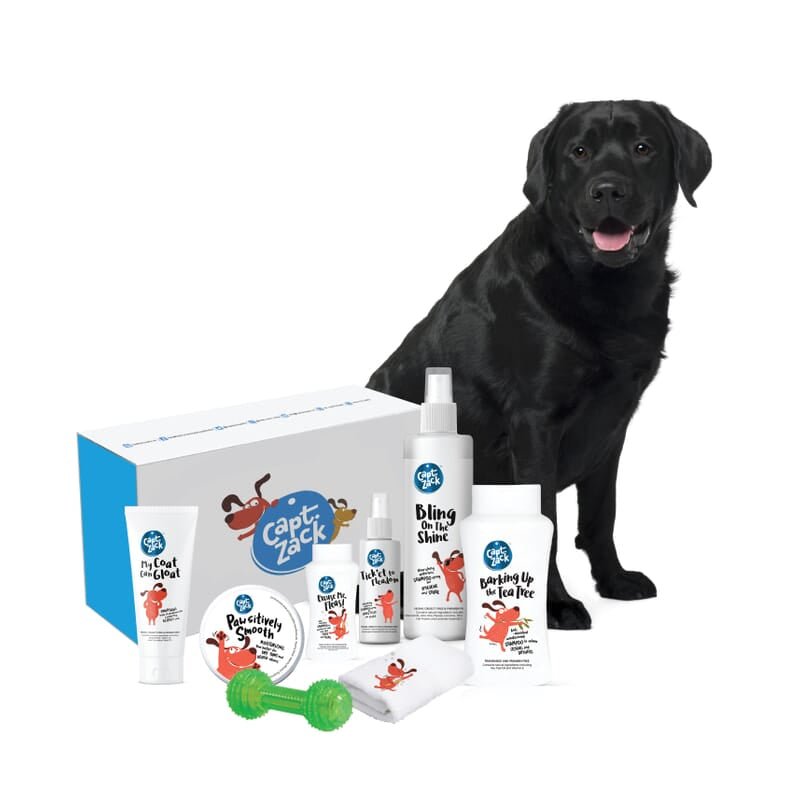 Captain Zack - The Labrador Groom Box - Wagr - The Smart Petcare Platform