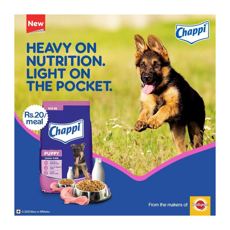 Chappi Puppy Dry Dog Food, Chicken & Milk, 3 kg - Wagr - The Smart Petcare Platform