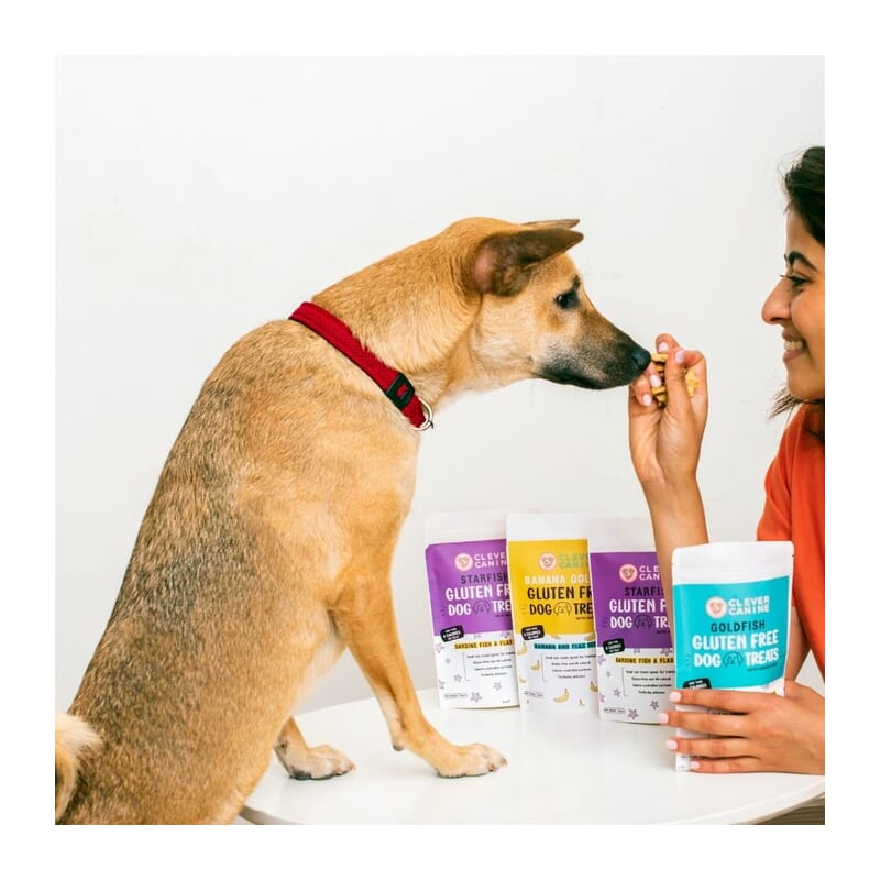 Clever Canine Banana Goldies Gluten Free Dog Treats 70g - Wagr - The Smart Petcare Platform