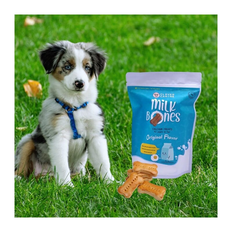 Clever Canine Original Flavour Milk Bones Calcium Treat 200g - Wagr - The Smart Petcare Platform