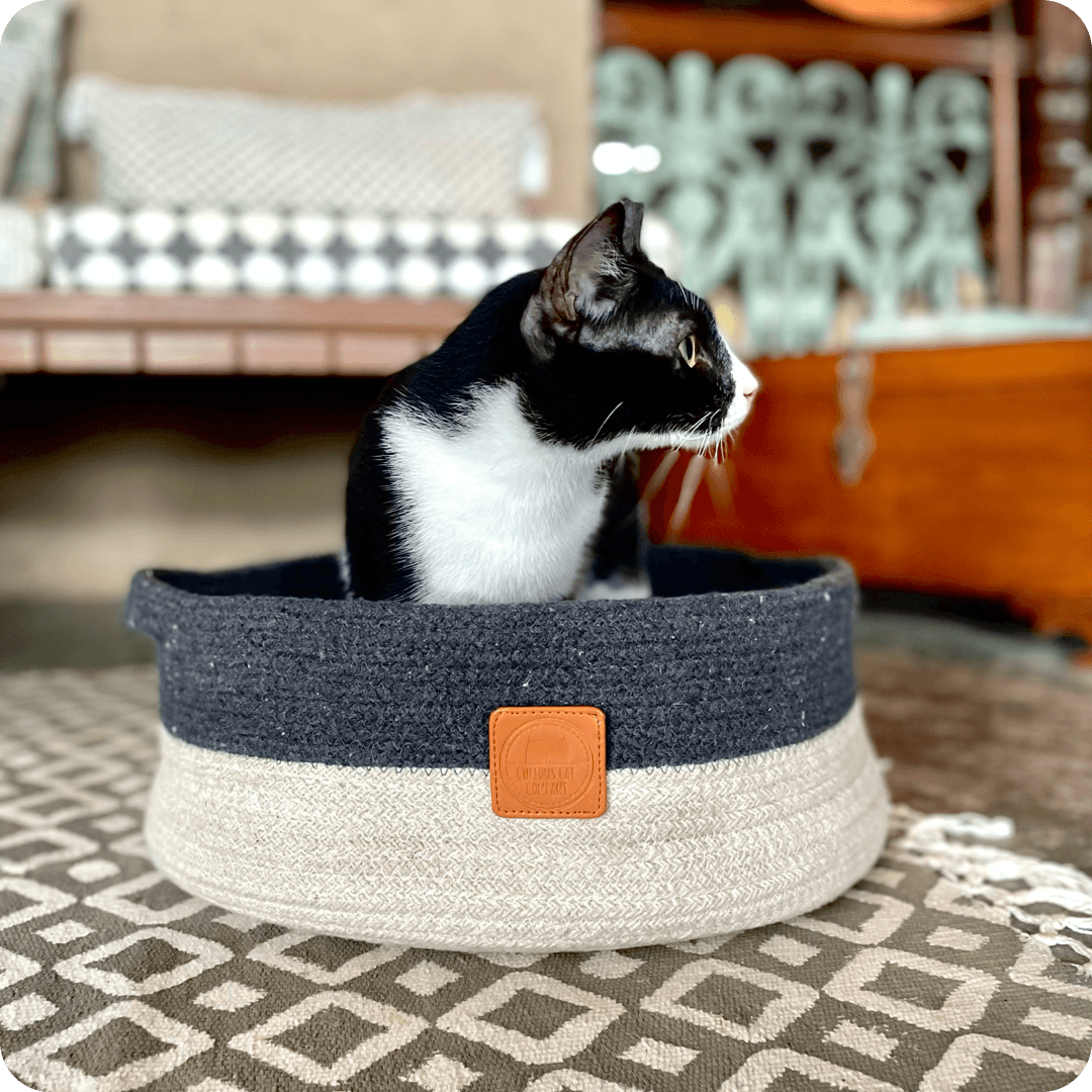 Curious Cat Company Sustainable Cat Beds - Jute - Wagr - The Smart Petcare Platform