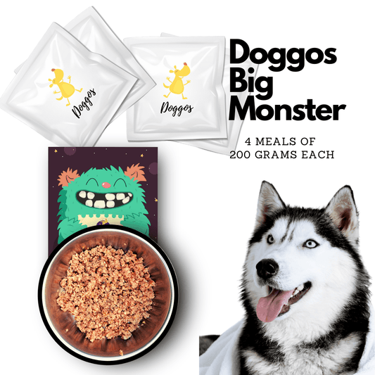 Doggos Big Monster - Wagr - The Smart Petcare Platform