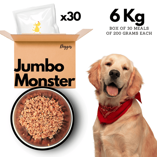 Doggos Jumbo Monster + 3 Instant Broth Free ( 30 packets of 200g of fresh dog food + 3 instant chicken broth free) - Wagr Petcare