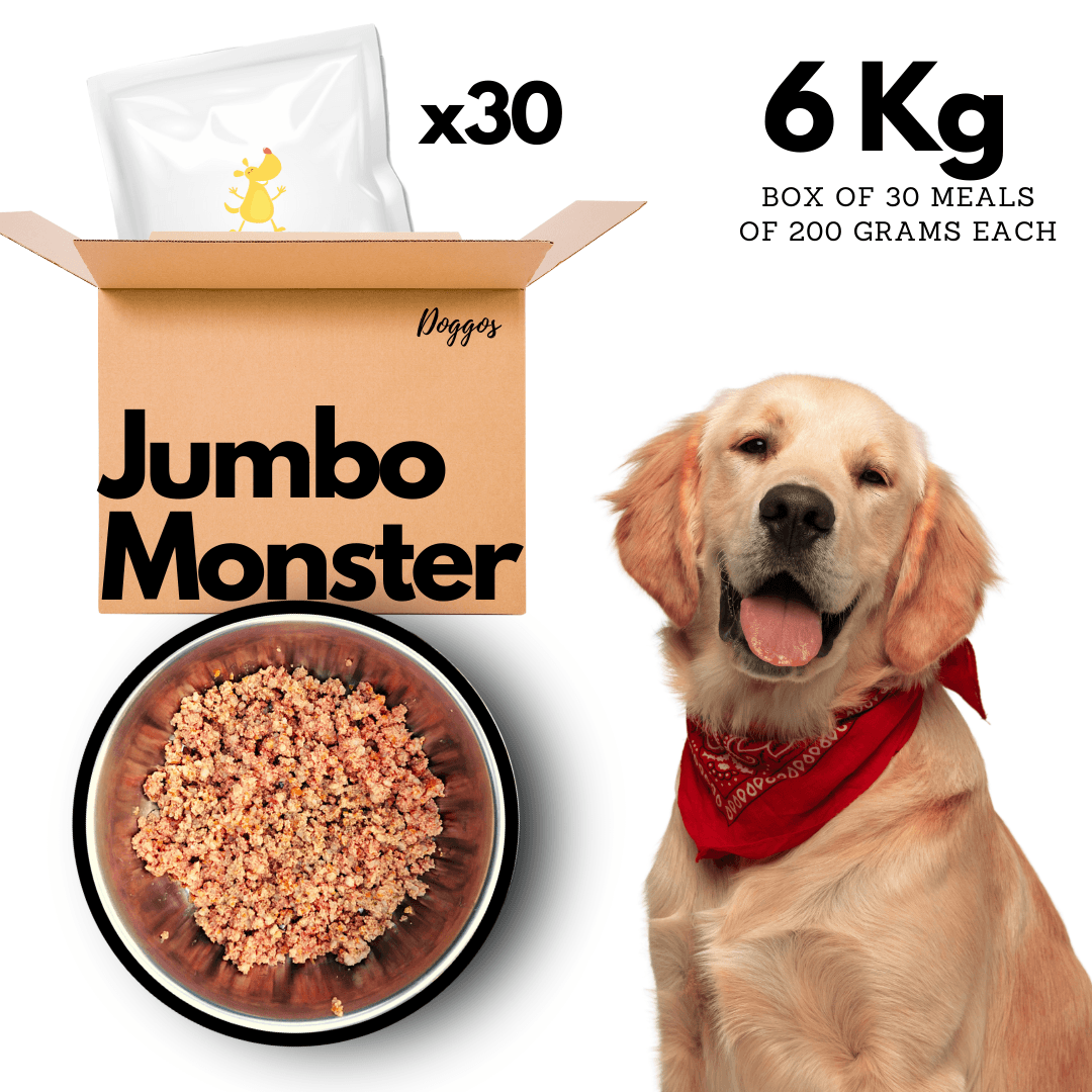 Doggos Jumbo Monster - Wagr - The Smart Petcare Platform
