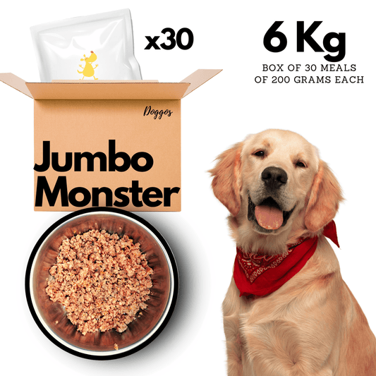 Doggos Jumbo Monster - Wagr - The Smart Petcare Platform