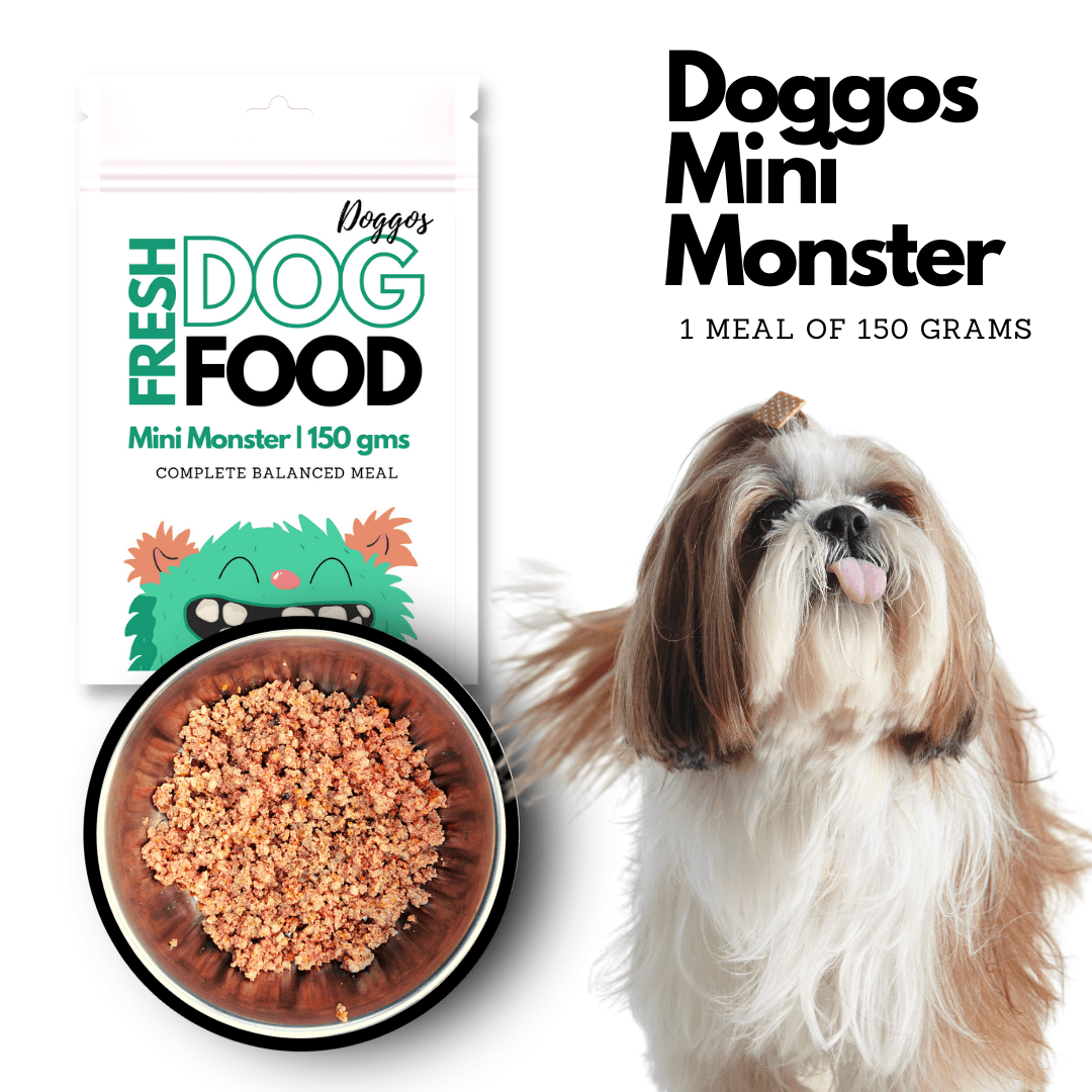 Doggos Mini Monster - Wagr - The Smart Petcare Platform