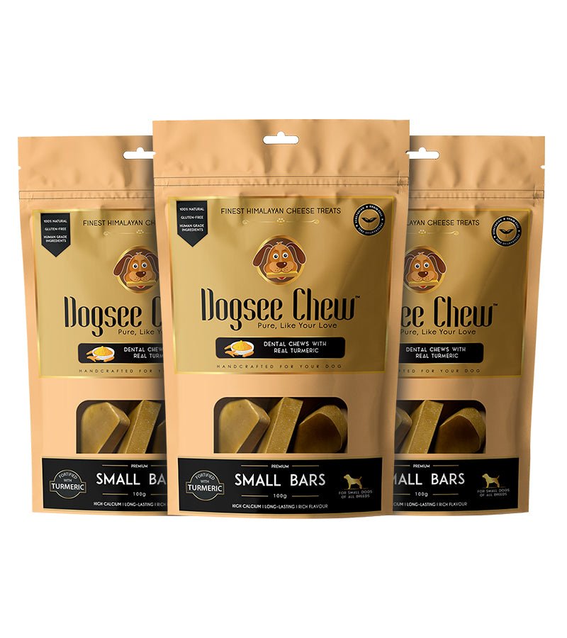 Dogsee Chew Turmeric Small Bars- 100g - Wagr - The Smart Petcare Platform