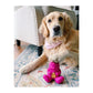 Dogsee Play Treatoy, Interactive Dog Toy - Wagr - The Smart Petcare Platform