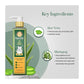Dogsee Veda Itch Relief Shampoo, Aloe Vera Shampoo for Dogs - Wagr - The Smart Petcare Platform