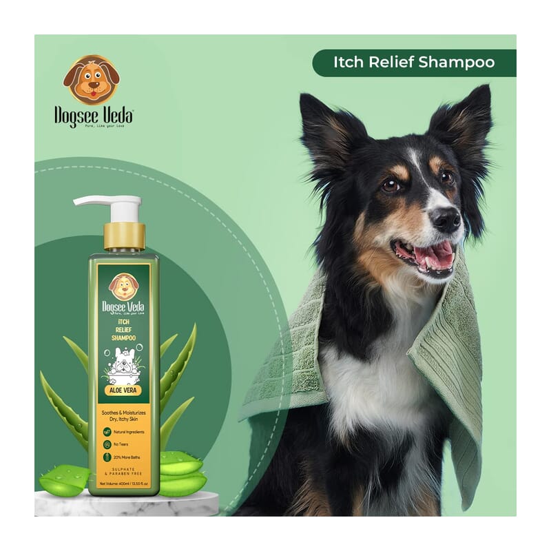 Dogsee Veda Itch Relief Shampoo, Aloe Vera Shampoo for Dogs - Wagr - The Smart Petcare Platform