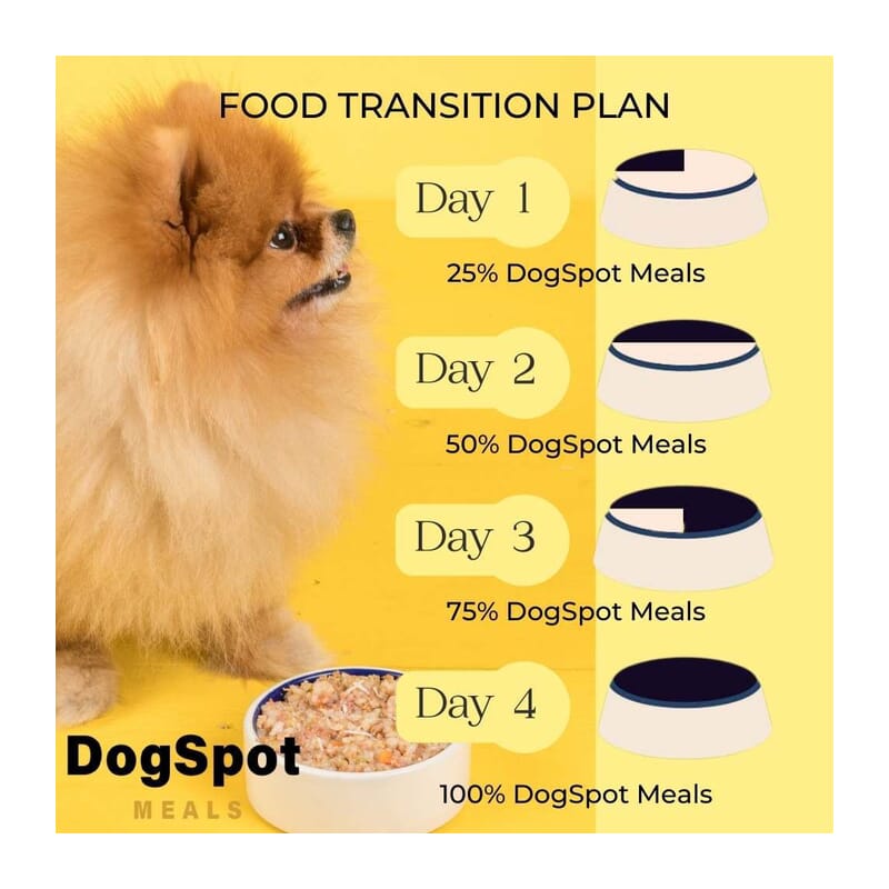 DogSpot Meals Chicken Gravy with Goodness of Curcumin for Small Dogs, 100gm - Wagr - The Smart Petcare Platform