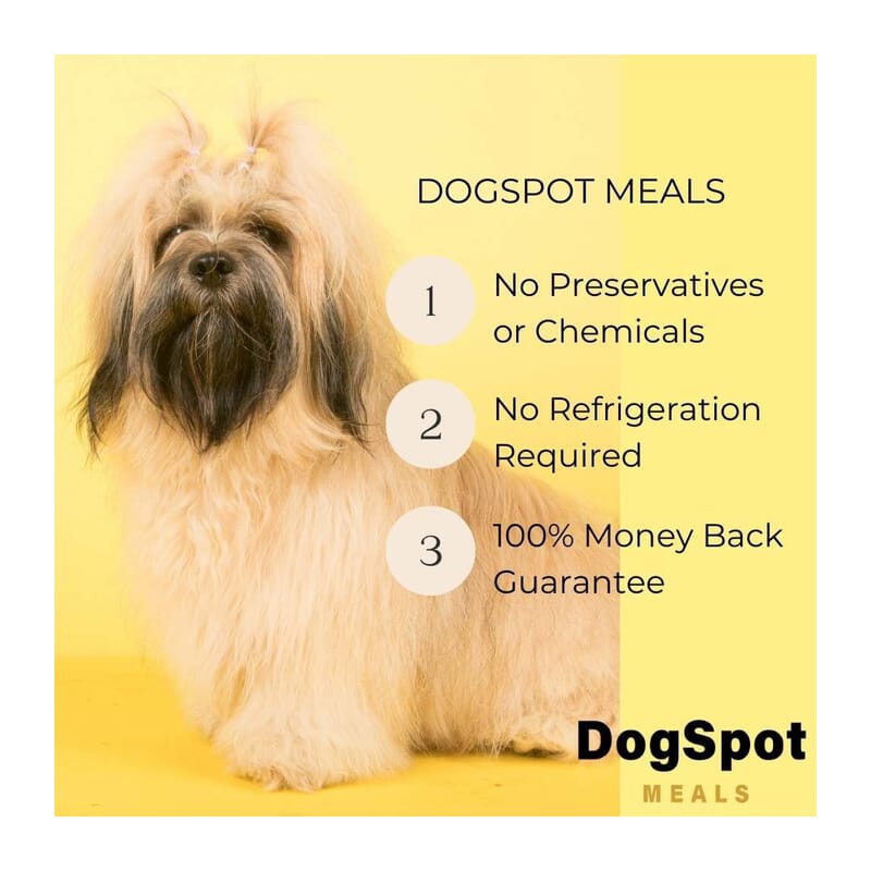 DogSpot Meals Chicken Gravy with Goodness of Curcumin for Small Dogs, 75gm - Wagr - The Smart Petcare Platform