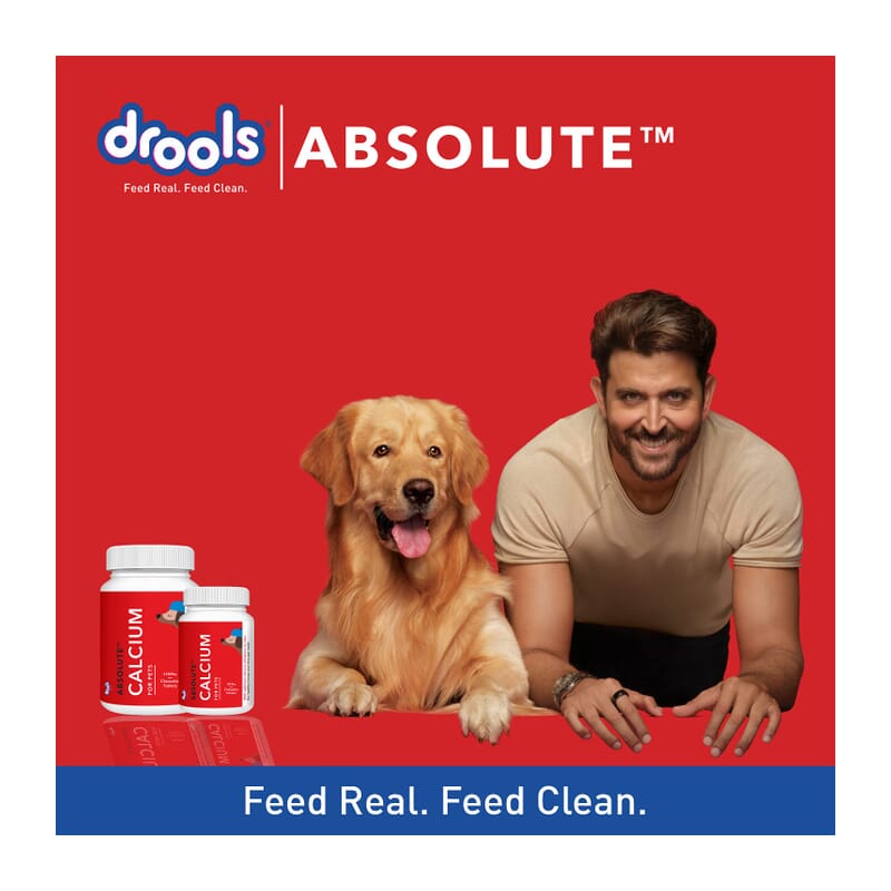 Drools Absolute Calcium Tablet - Dog Supplement - Wagr - The Smart Petcare Platform