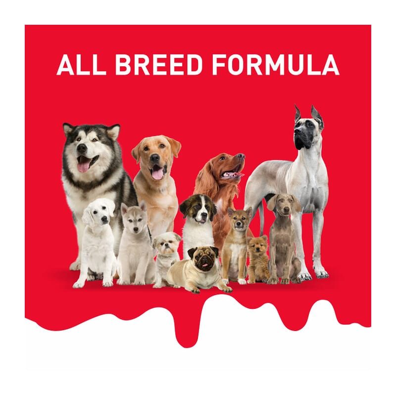 Drools Absolute Milk Bone Jar, Dog Treats - 40 Pieces (600g) - Wagr - The Smart Petcare Platform
