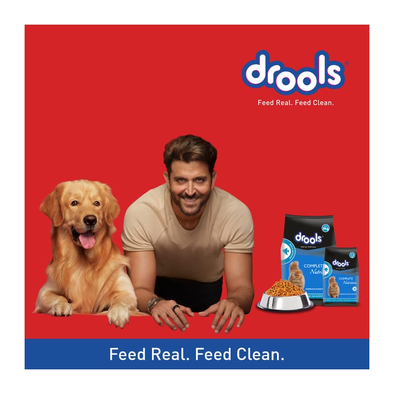 Drools Adult Dry Cat Food, Ocean Fish 3kg with Free 1.2kg - Wagr - The Smart Petcare Platform