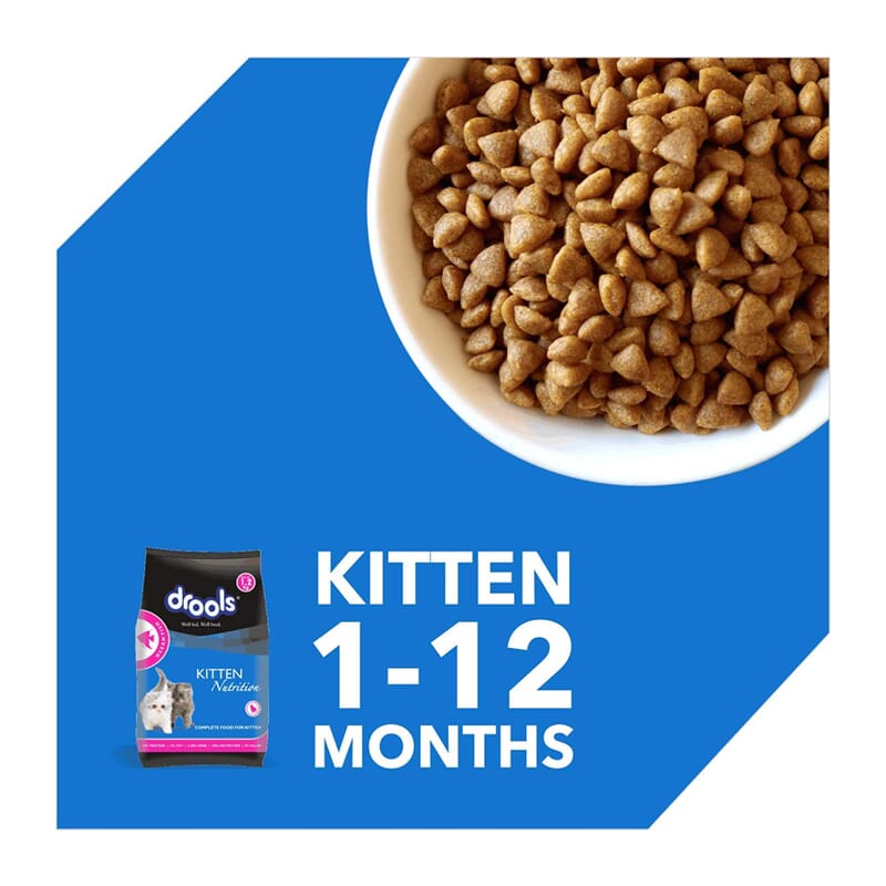 Drools Kitten (1-12 Months) Dry Cat Food, Ocean Fish 1.2kg with Free Container - Wagr - The Smart Petcare Platform