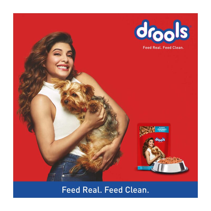 Drools Puppy Wet Dog Food, Real Chicken and Chicken Liver Chunks in Gravy - Wagr - The Smart Petcare Platform