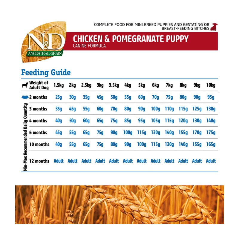 FARMINA N&D Ancestral Grain - Chicken & Pomegranate - Dog Dry Food - Puppy - Mini Breed - Wagr - The Smart Petcare Platform