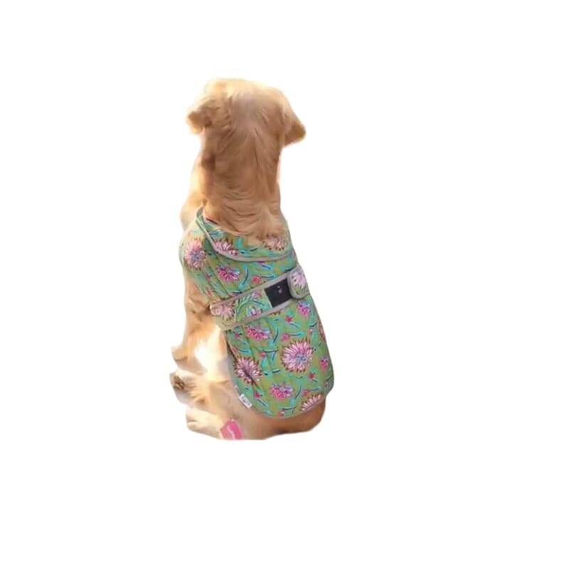 Flury Cotton Quilted Coat for Dogs Double Strap - Basant Bahar - Wagr Petcare
