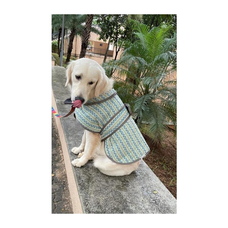 Flury Cotton Quilted Coat for Dogs Double Strap - Zigzag - Wagr Petcare