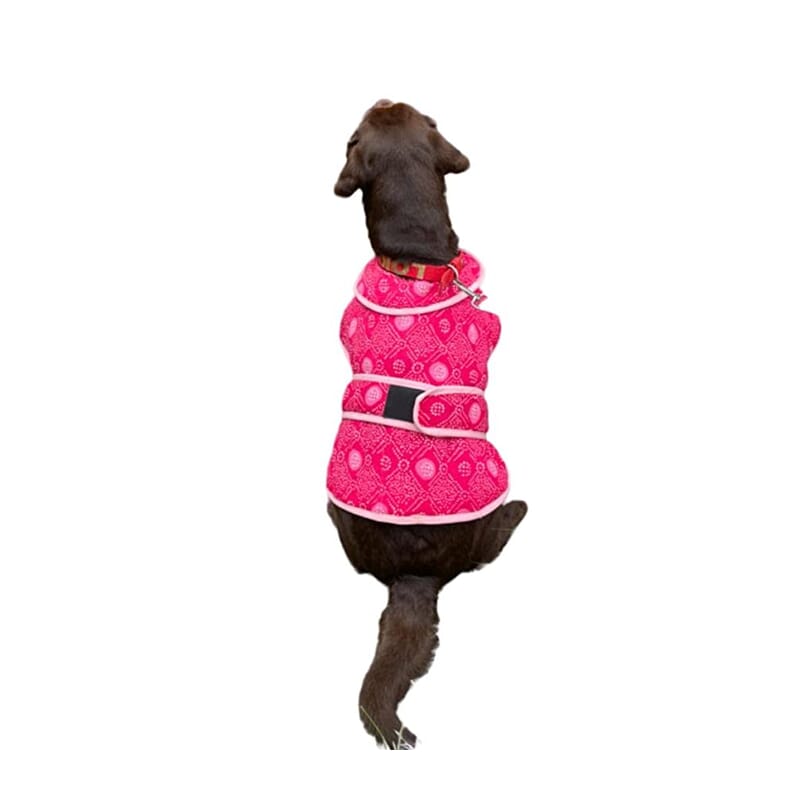 Flury Cotton Quilted Coat for Dogs Single Strap - Bandhani - Wagr Petcare