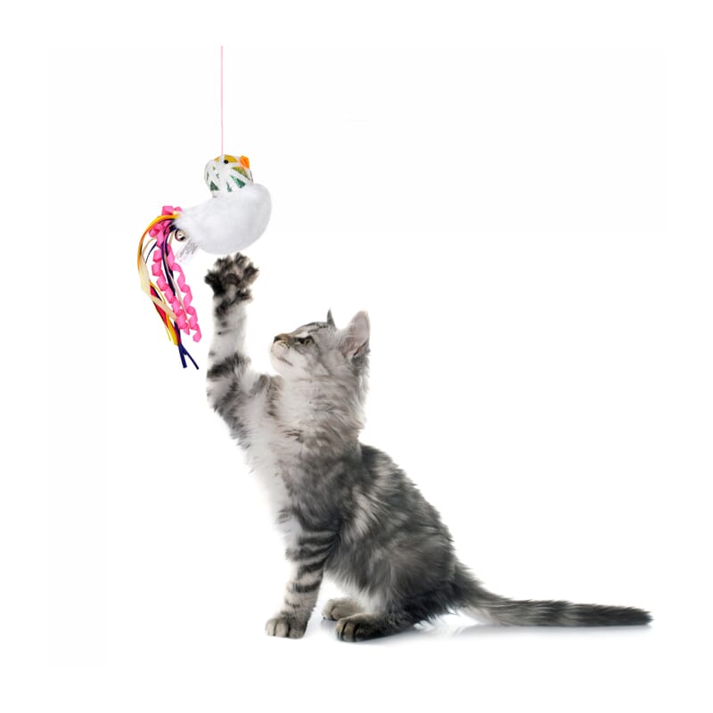 Fofos Blocky Meow Bird Wand Cat Toy - Wagr Petcare